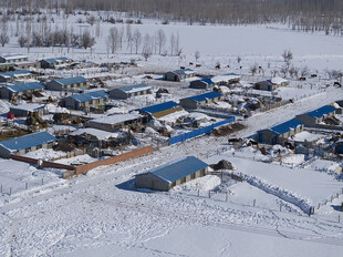 雪覆村落景观