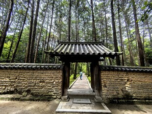 林间古亭静谧清幽之景