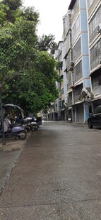 雨后绿树掩映的宁静道路