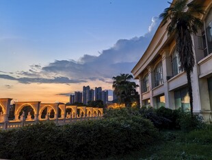 黄昏下的城市建筑与绿植