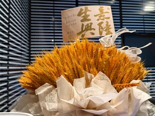 金色麦穗花束美好寓意
