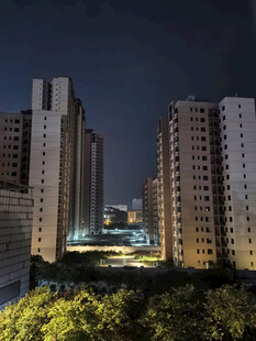 城市夜景高楼与葱郁绿植