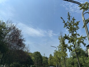 蓝天绿树间的自然景致