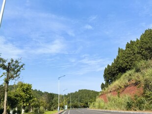 乡村公路与两旁风景