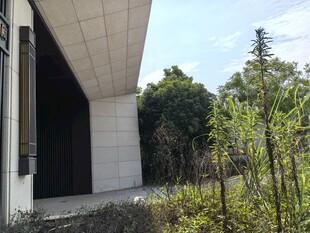 现代建筑旁的自然景致