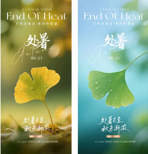处暑银杏叶唯美节气海报