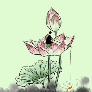 荷花