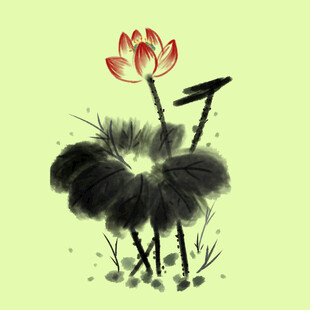 荷花