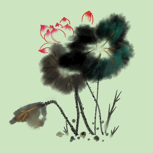 荷花