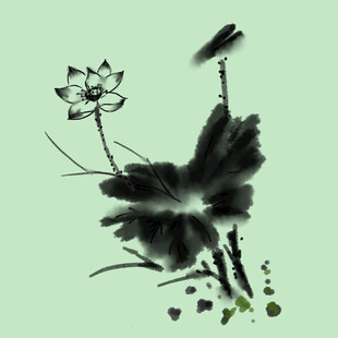 荷花