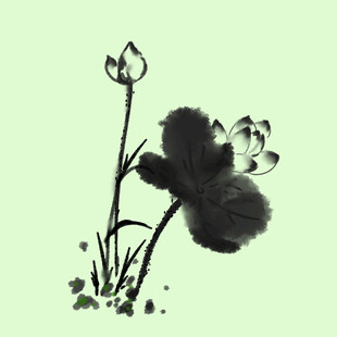 荷花