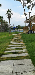 海滨石板路绿植与海景相伴