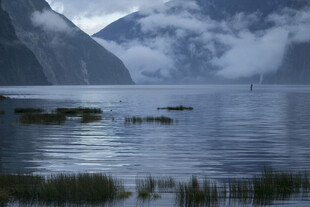 宁静山水间的湖景风光