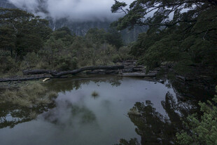 山间静谧小河与繁茂植被