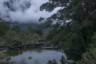 山林间静谧的清澈小湖