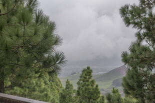 山林松景 云雾缭绕之美