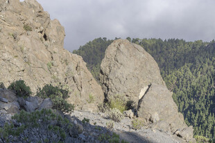 嶙峋山石景观