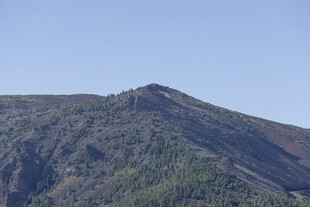 山峦绿意