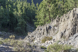 山间嶙峋岩壁与葱郁植被