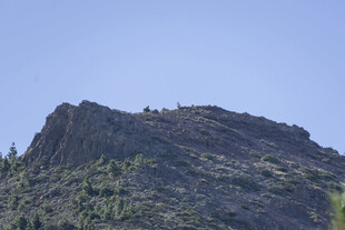 巍峨青山 绿意盎然