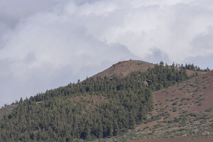 山峦覆林 云雾缭绕之景