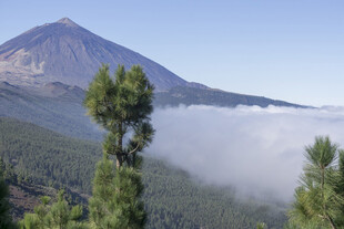 云雾环绕的壮丽山峰景观