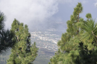 山林间俯瞰城市远景