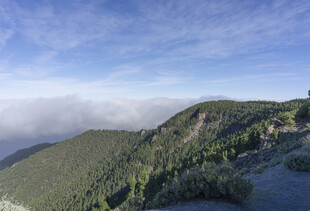 山峦云海美景