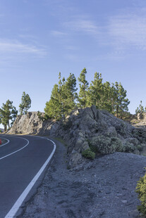 蜿蜒山路旁的绿意风景
