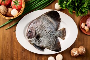 石鲷鱼