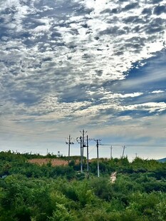 田野上的电线杆