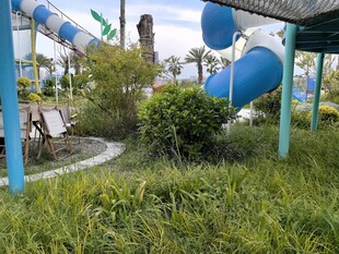 户外游乐区绿植环绕景观