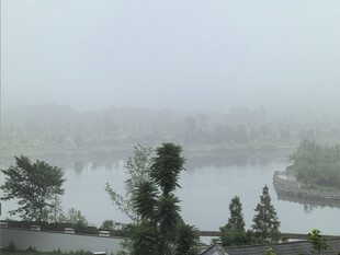 雾中城市湖畔景致