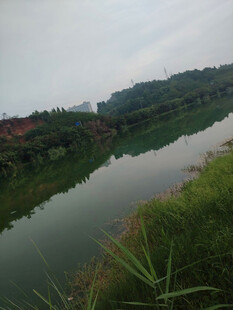 宁静河畔风光