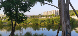 湖畔绿树环绕的宁静景致