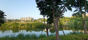湖畔绿树环绕的自然景致