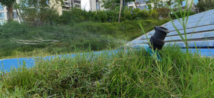 户外草地边喷水的黑色浇灌设施
