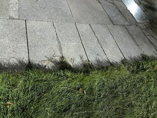 路边的砖石与丛生绿草