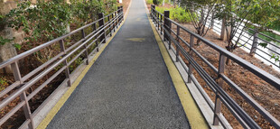 河畔步道风景