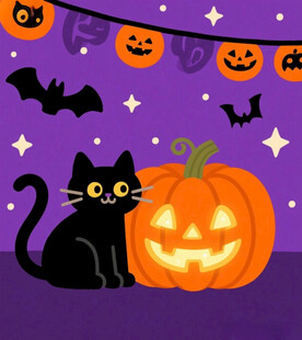 黑猫与南瓜的万圣氛围