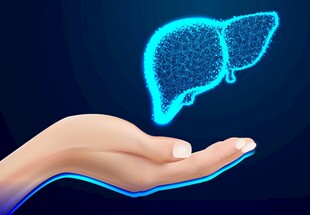 手托虚拟肝脏图像
