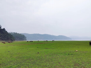 广阔草原与远处山峦景观