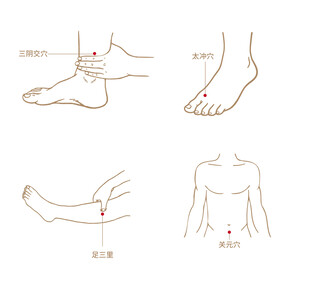 穴位图