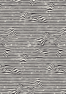 黑白条纹花卉纹理图案