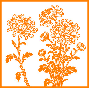 橙色菊花花卉图案设计