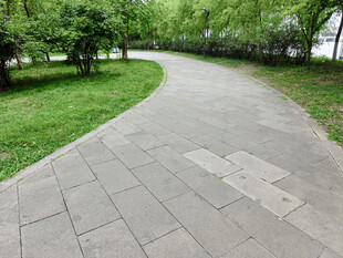 蜿蜒林间步道