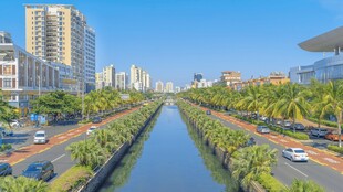 城市河道景观 绿树高楼相伴