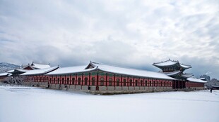 故宫雪景古建筑壮丽景观