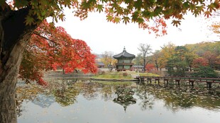 秋日湖畔古景
