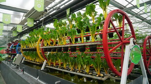 智能立体农业种植装置